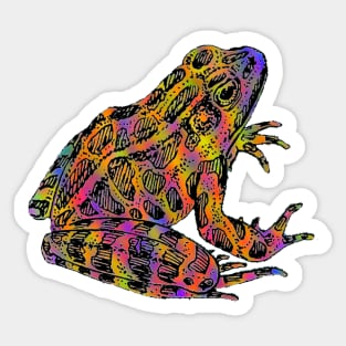 Fantasy Poison Rainbow Frog Sticker